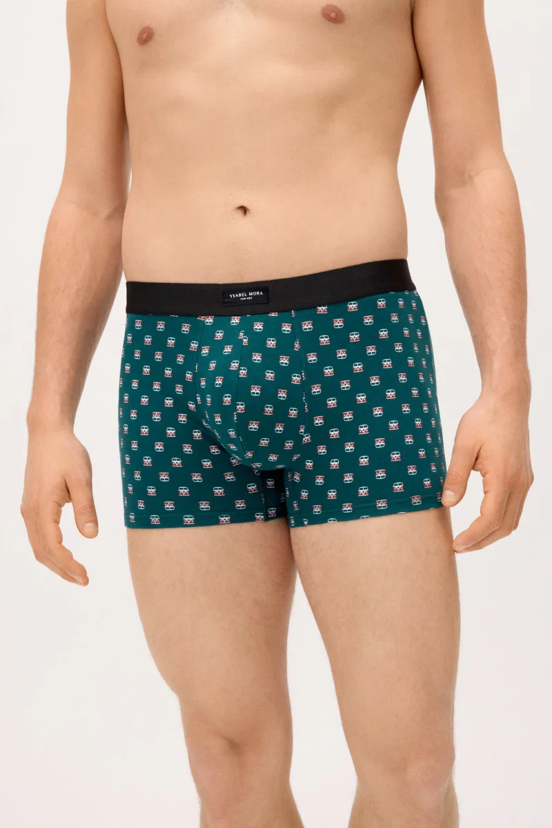 Conjunto de 2 cuecas boxer com estampas sortidas: caravana e palmeira. - Image 3