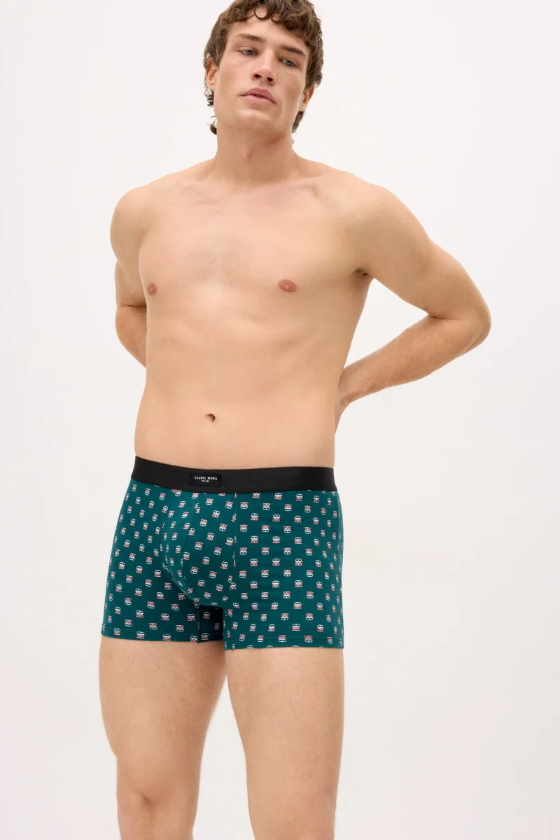 Conjunto de 2 cuecas boxer com estampas sortidas: caravana e palmeira. - Image 5
