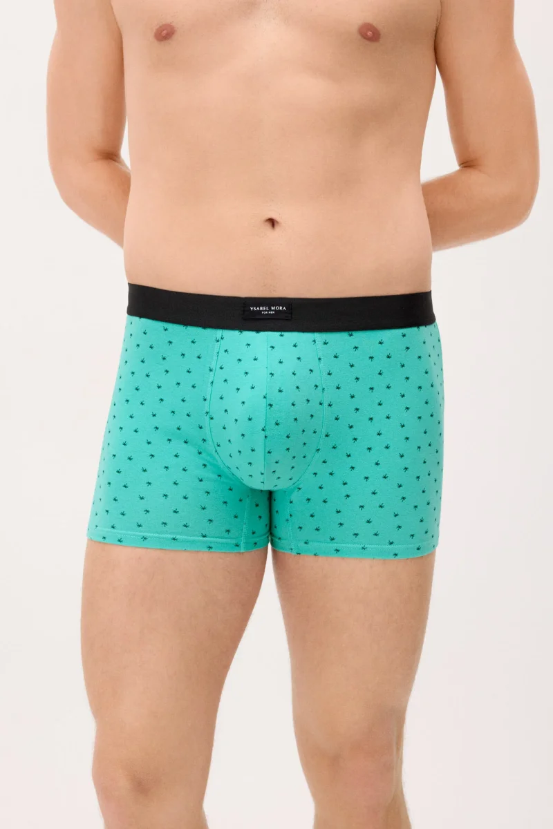 Conjunto de 2 cuecas boxer com estampas sortidas: caravana e palmeira. - Image 7