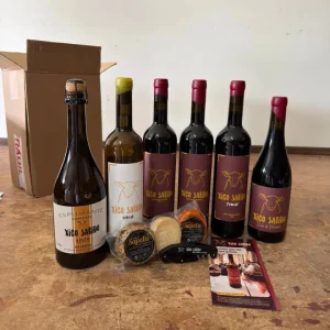 Pack Descoberta Xico Sabido